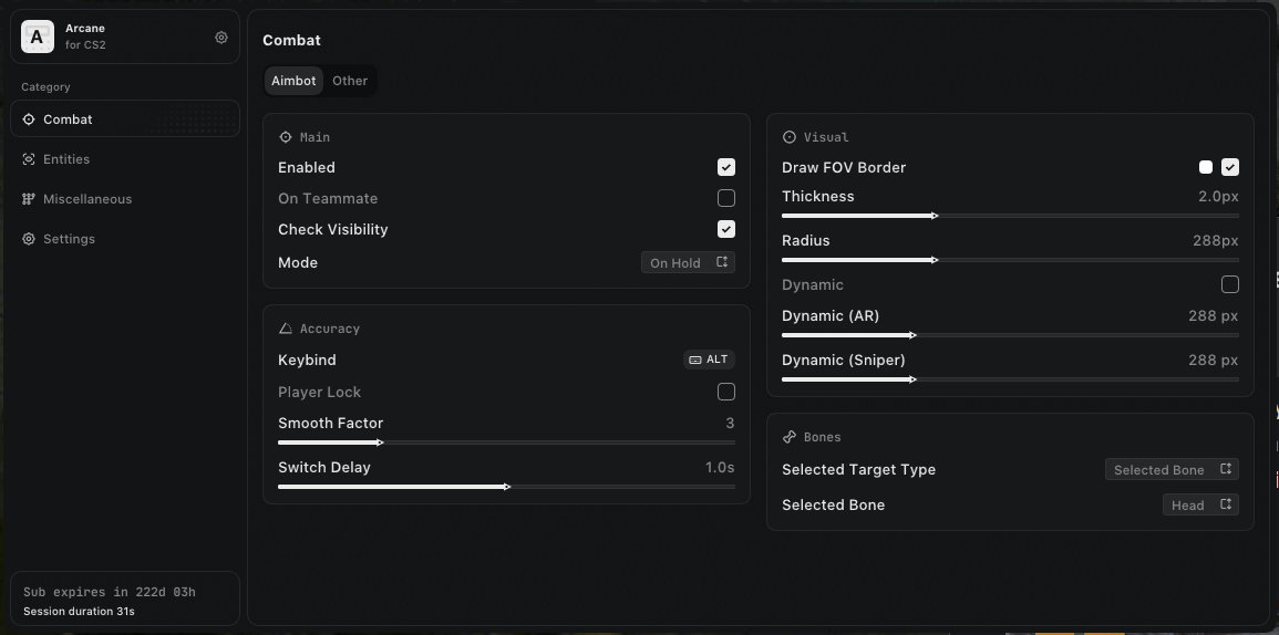 Interface of the Counter-Strike 2 (CS2) cheat by Arcane