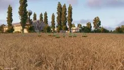 Cheat screenshot