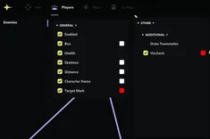 Interface of the Marvel Rivals cheat by Ancient — Section number 2