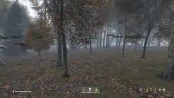 DayZ gameplay with the Arcane cheat — screenshot 3