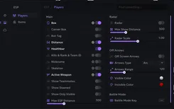 Interface of the Call of Duty: Warzone cheat by Ancient — Section number 2