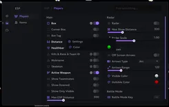 Interface of the Call of Duty: Warzone cheat by Ancient — Section number 5
