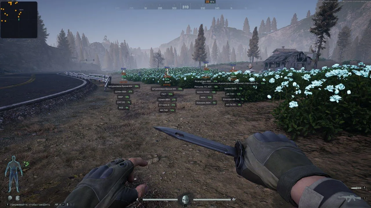 Cheat screenshot